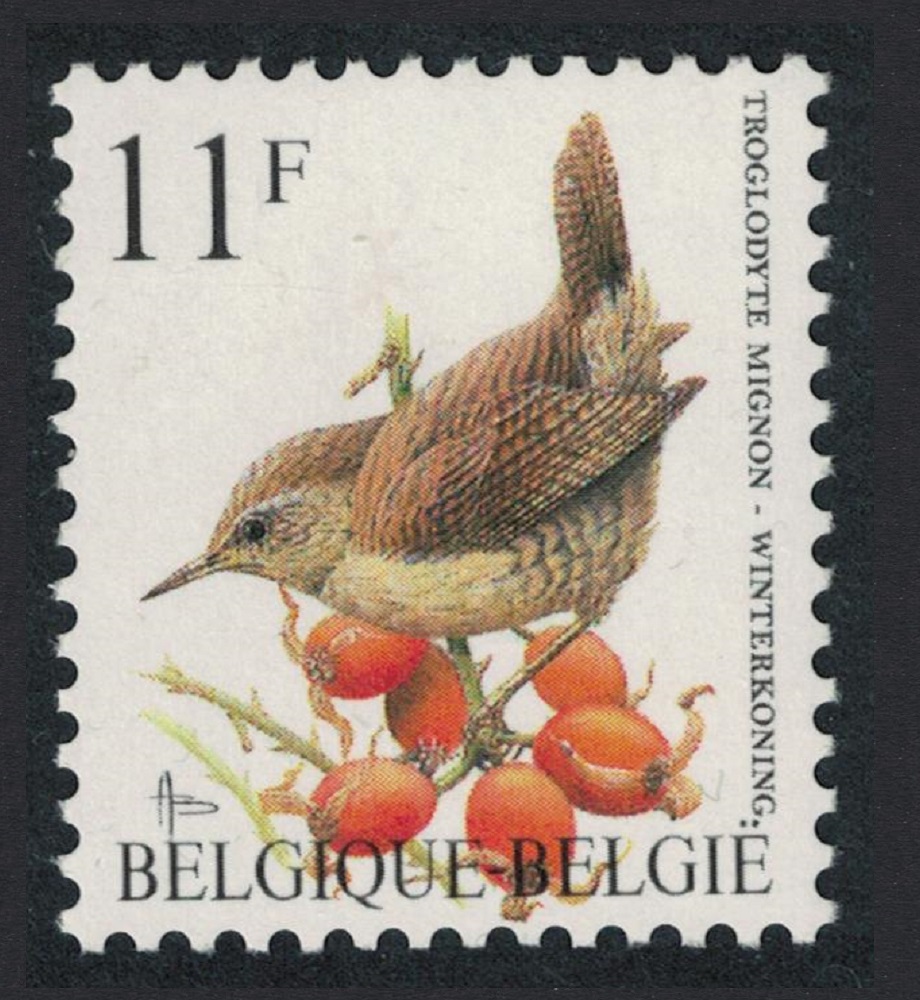 Belgium Winter Wren Bird Buzin &#39;Troglodyte Mignon&#39; 11f 1992 MNH SG#3086 MI#2502 Sc#1445