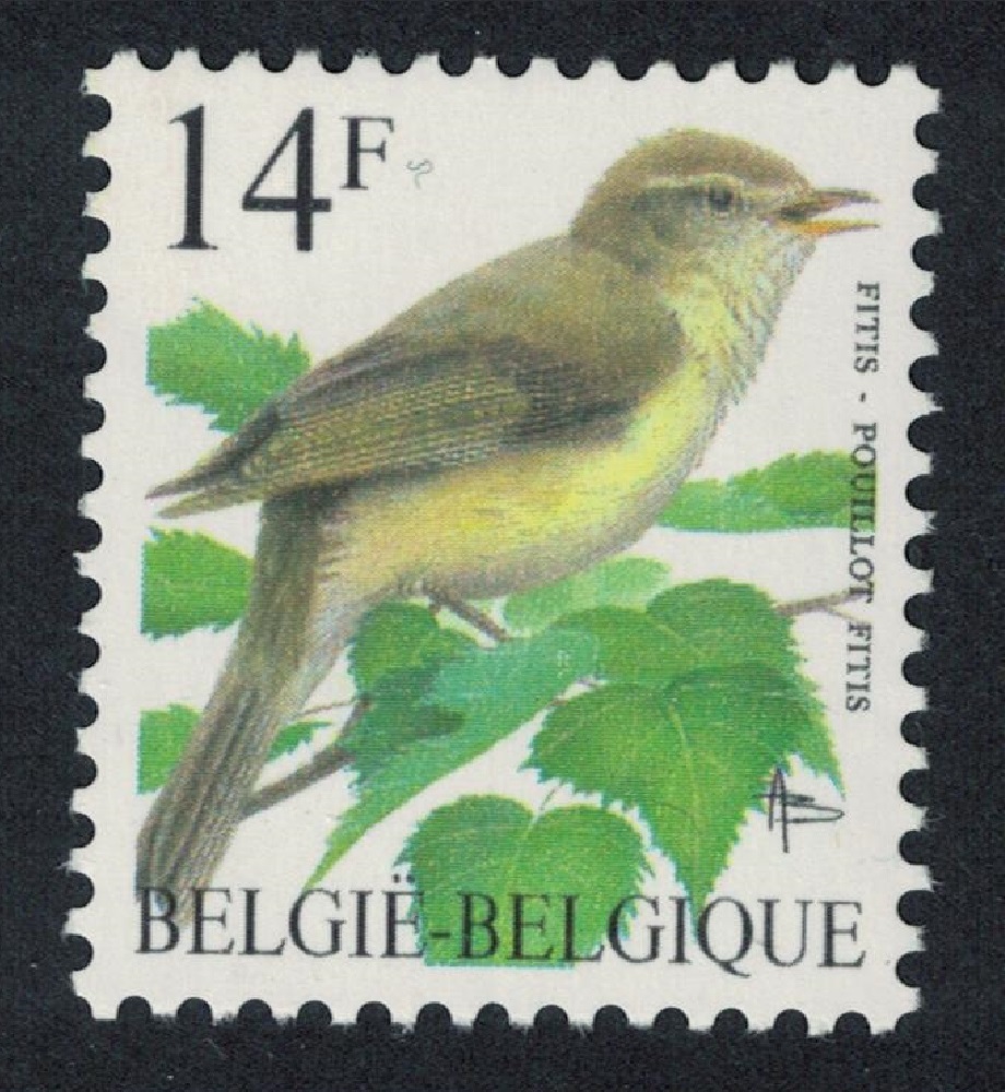 Belgium Willow warbler Bird Buzin &#39;Pouillot Fitis&#39; 14f 1995 MNH SG#3088 MI#2675 Sc#1446A