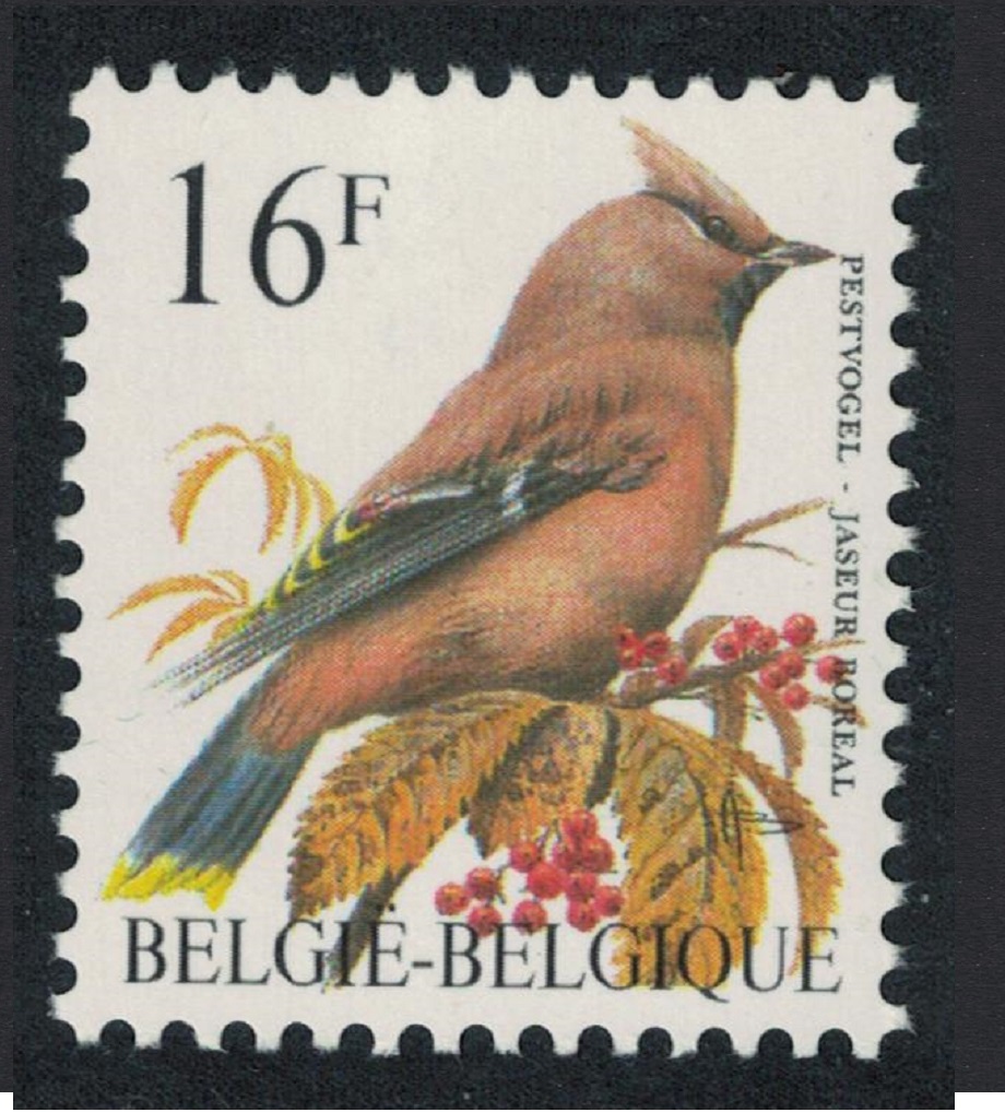 Belgium Bohemian waxwing Bird Buzin &#39;Jaseur Boreal&#39; 16f 1994 MNH SG#3088a MI#2586y Sc#1447