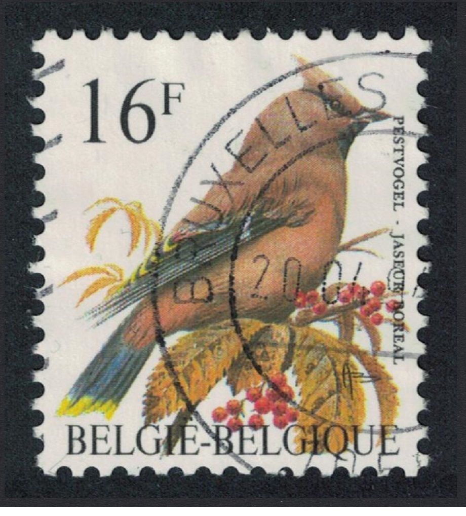 Belgium Bohemian waxwing Bird Buzin &#39;Jaseur Boreal&#39; 16f 1994 Canc SG#3088a MI#2586y Sc#1447