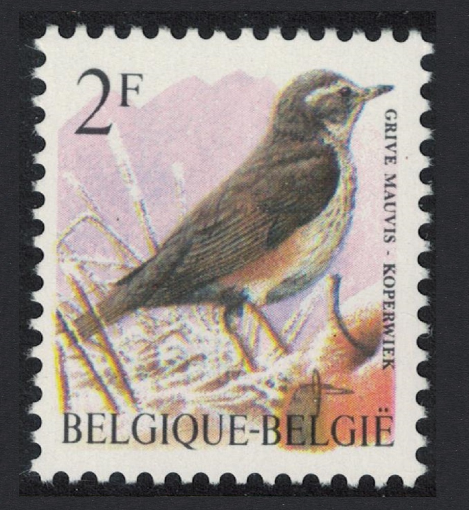 Belgium Redwing Bird Buzin &#39;Grive mauvis&#39; 2f 1996 MNH SG#3304 MI#2701 Sc#1434