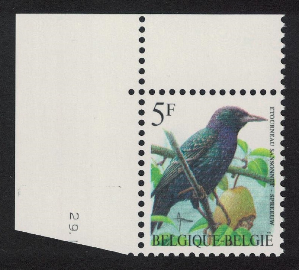 Belgium Common starling Bird Buzin &#39;Etourneau sansonnet&#39; 5f Corner 1990 MNH SG#3307 MI#2690 Sc#1437