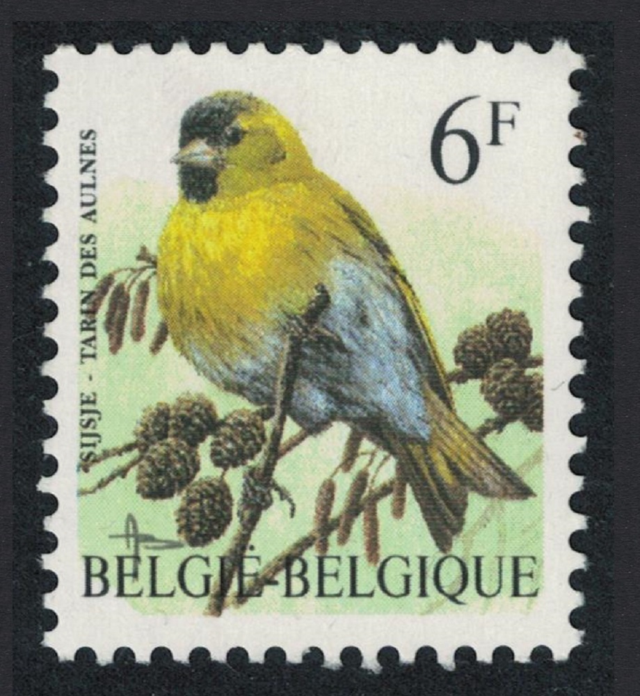 Belgium Spruce siskin Bird Buzin &#39;Tarin des aulnes&#39; 6f 1996 MNH SG#3308 MI#2716 Sc#1627