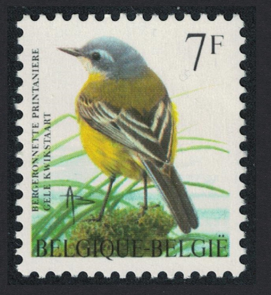 Belgium Yellow wagtail Bird Buzin &#39;Bergeronnette printaniere&#39; 7f 1997 MNH SG#3309 MI#2777 Sc#1660