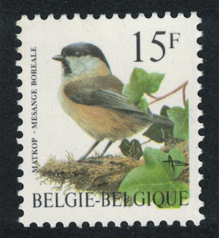 Belgium Willow tit Bird Buzin &#39;Mesange boreale&#39; 15f 1997 MNH SG#3313 MI#2747 Sc#1641