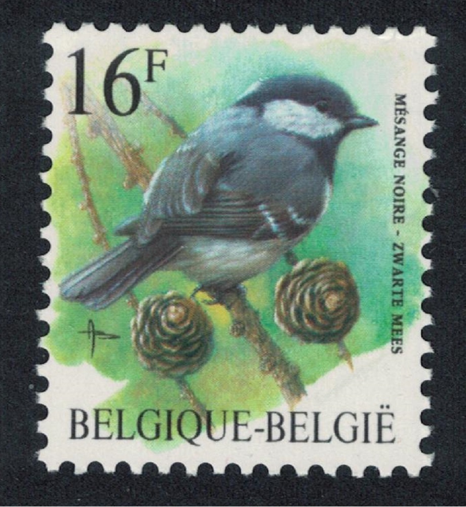 Belgium Coal Tit Bird Buzin &#39;Mesange noire&#39; 16f 1999 MNH SG#3314 MI#2856 Sc#1714