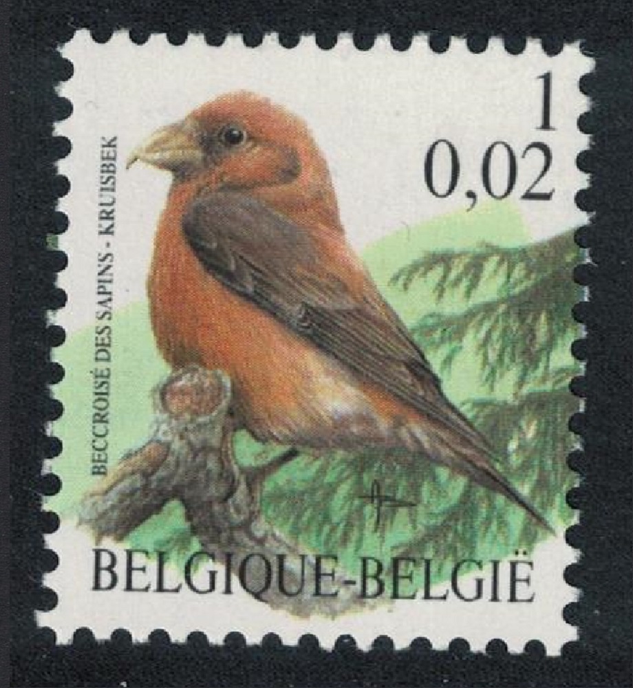 Belgium Red crossbill Bird Buzin &#39;Beccroisee des Sapins&#39; 1f 2000 MNH SG#3538 MI#2969 Sc#1785