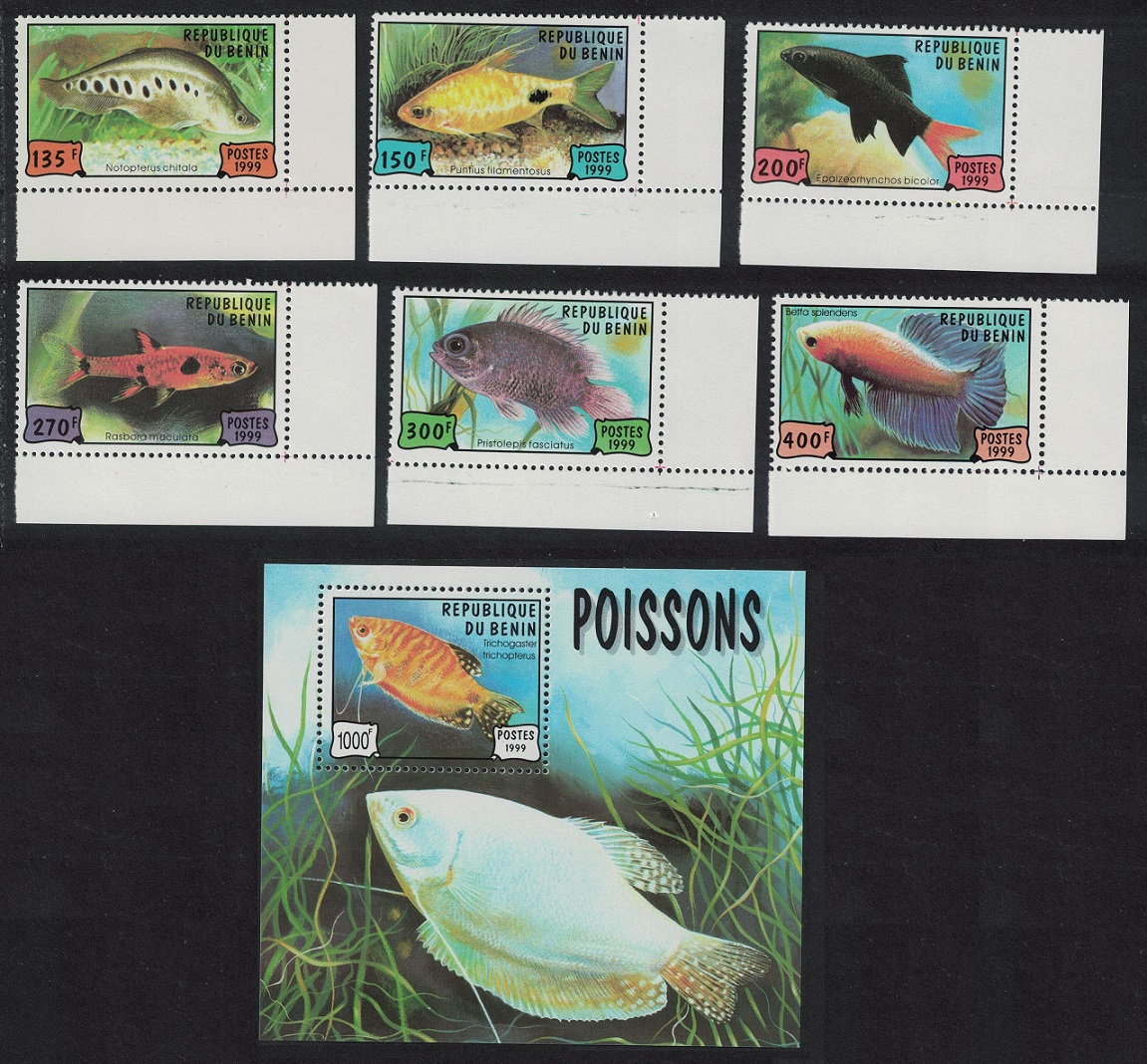 Benin Fish 6v+MS 1999 MNH SG#1816-MS1822