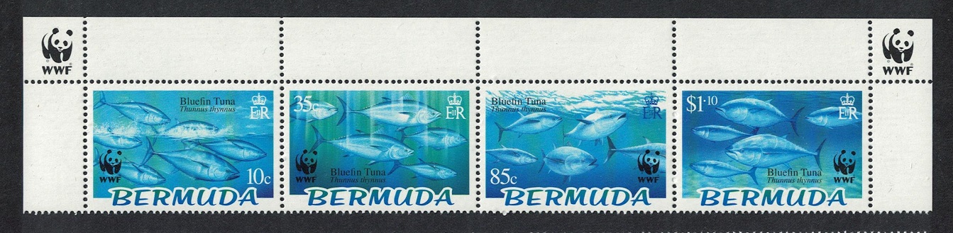 Bermuda WWF Atlantic Bluefin Tuna Top Strip of 4v WWF Logo 2004 MNH SG#938-941 MI#877-880 Sc#884-887