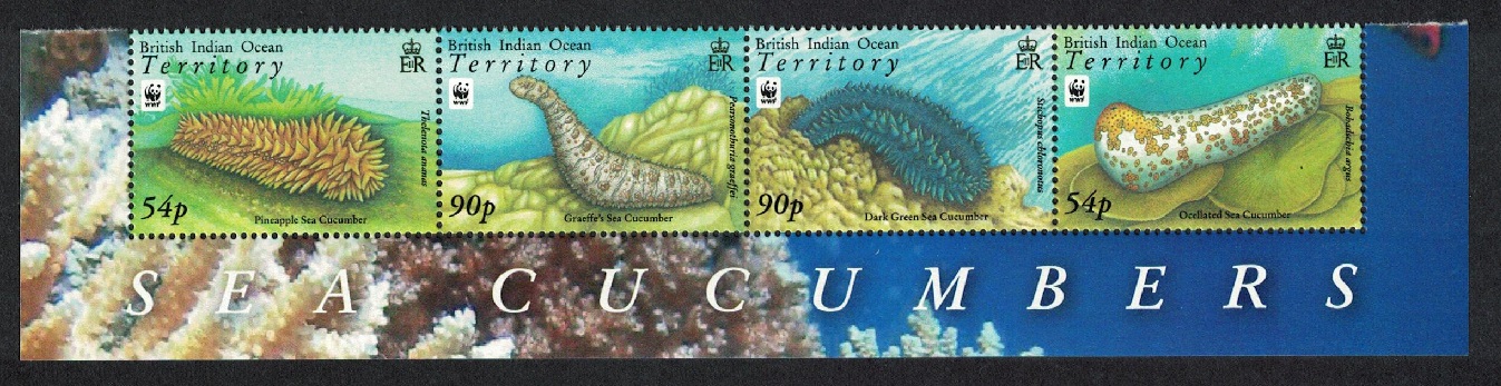 British Indian Ocean Territory WWF Sea Cucumbers strip Animal&#39;s Name 2008 MNH SG#392-395 MI#470-473 Sc#361-364