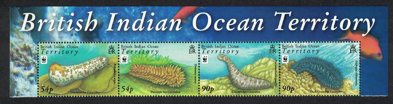 British Indian Ocean Territory WWF Sea Cucumbers Top strip Name 2008 MNH SG#392-395 MI#470-473 Sc#361-364