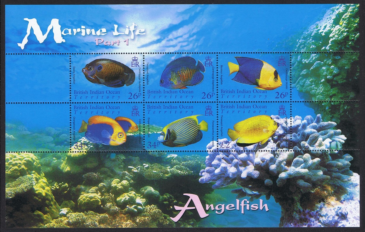 British Indian Ocean Territory Angelfish Marine Life 1st series MS 2006 MNH SG#MS353