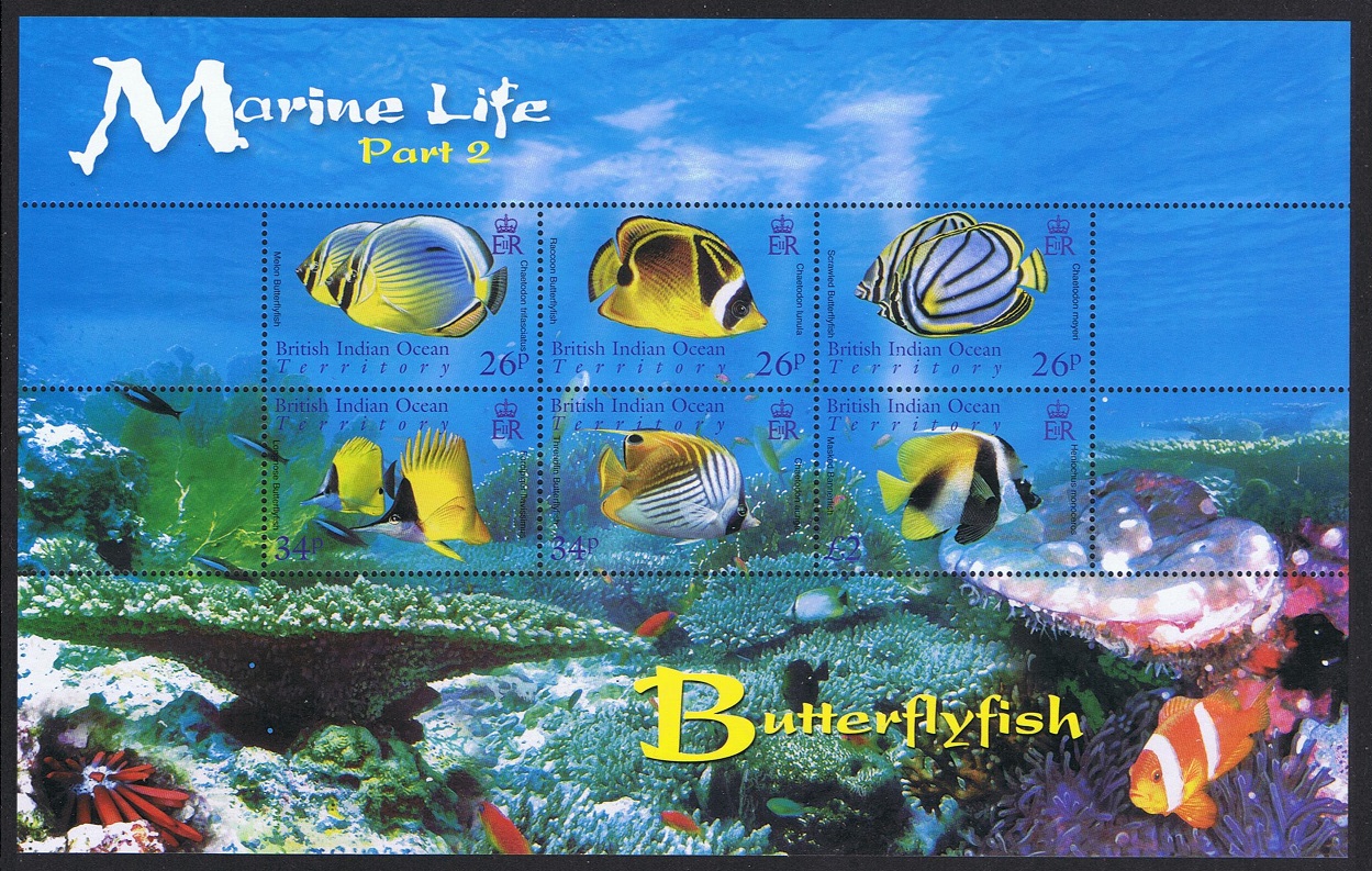 British Indian Ocean Territory Butterflyfish Marine Life 2nd series MS 2006 MNH SG#MS354