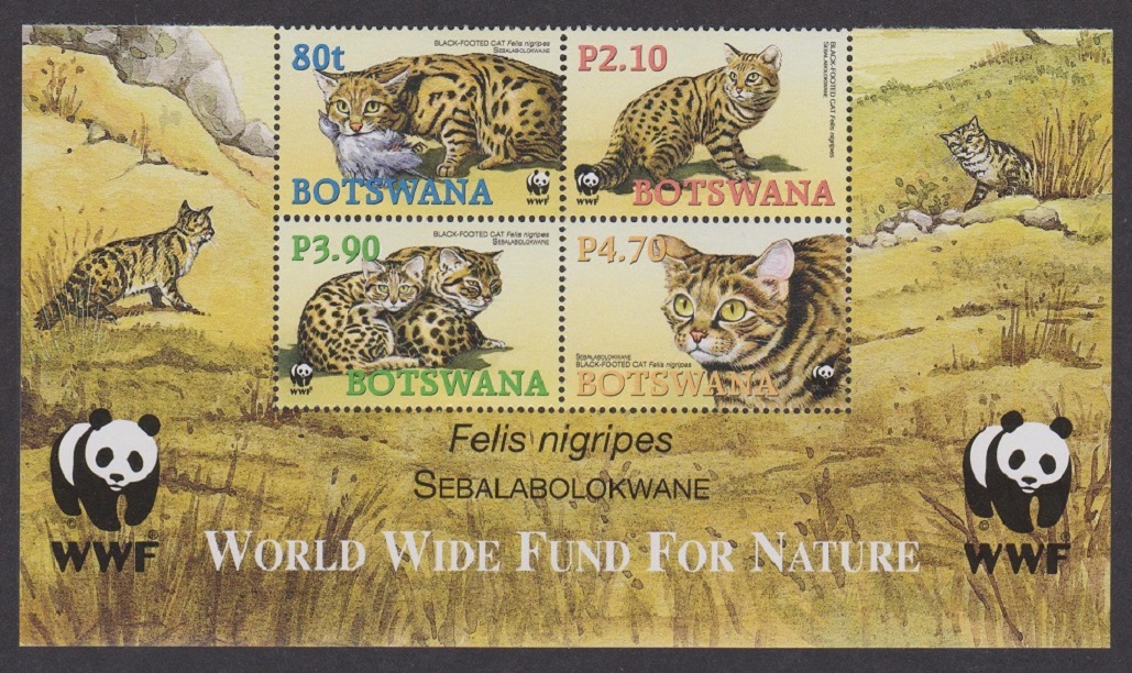 Botswana WWF Black-footed Cat 4v Block of 4 WWF Logo 2005 MNH SG#1040-1043 MI#817-820 Sc#806-809