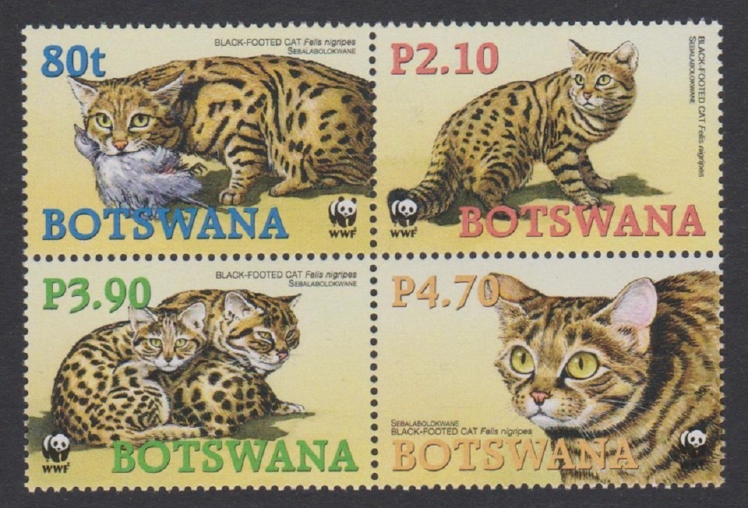 Botswana WWF Black-footed Cat 4v Block of 4 2005 MNH SG#1040-1043 MI#817-820 Sc#806-809