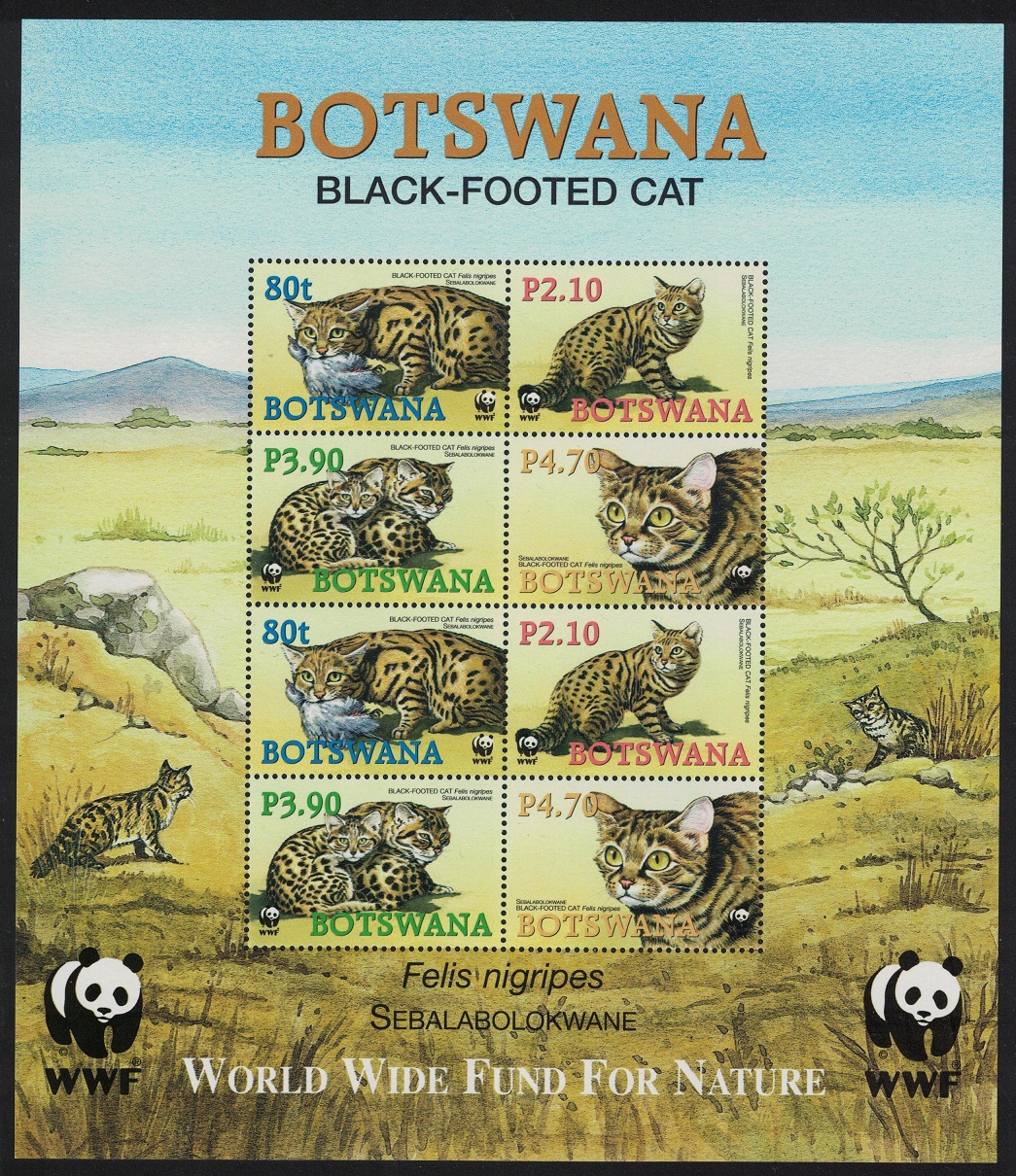 Botswana WWF Black-footed Cat Sheetlet of 2 sets 2005 MNH SG#MS1044 MI#817-820 Sc#806-809