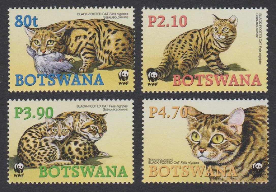 Botswana WWF Black-footed Cat 4v 2005 MNH SG#1040-1043 MI#817-820 Sc#806-809