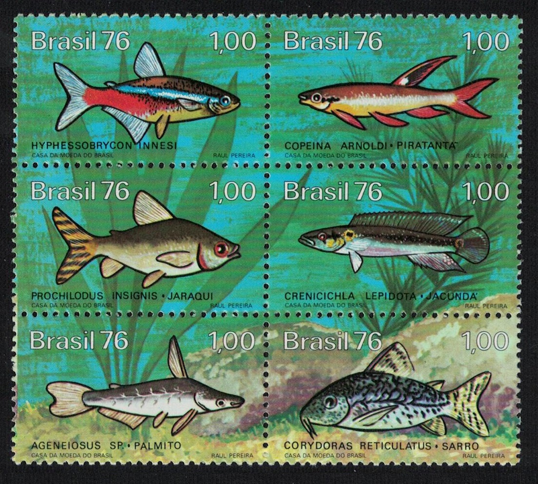 Brazil Freshwater Fish block of 6 1976 MNH SG#1613-1618