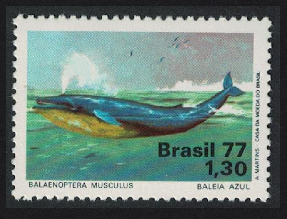 Brazil Blue Whale 1977 MNH SG#1663 MI#1597