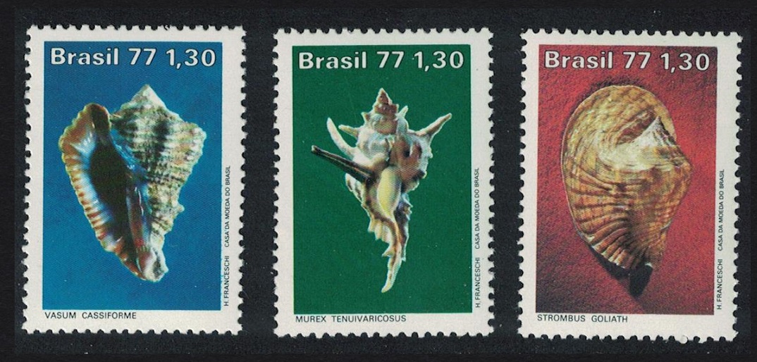 Brazil Shells Brazilian Molluscs 3v 1977 MNH SG#1666-1668