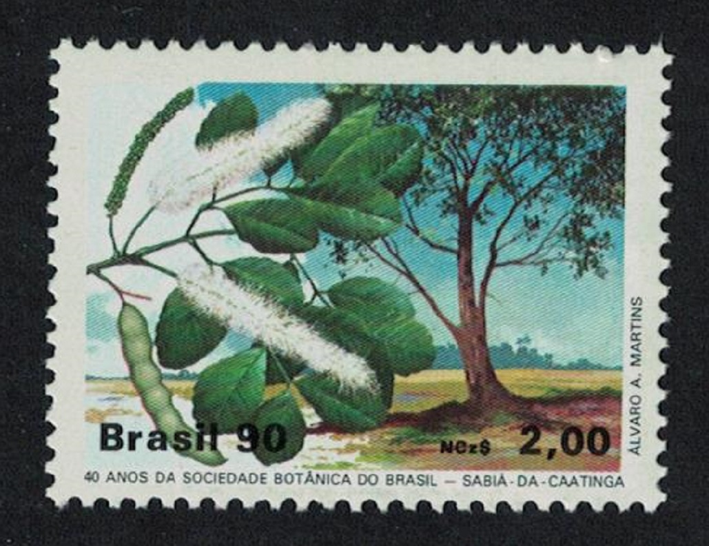 Brazil Trees 1990 MNH SG#2401