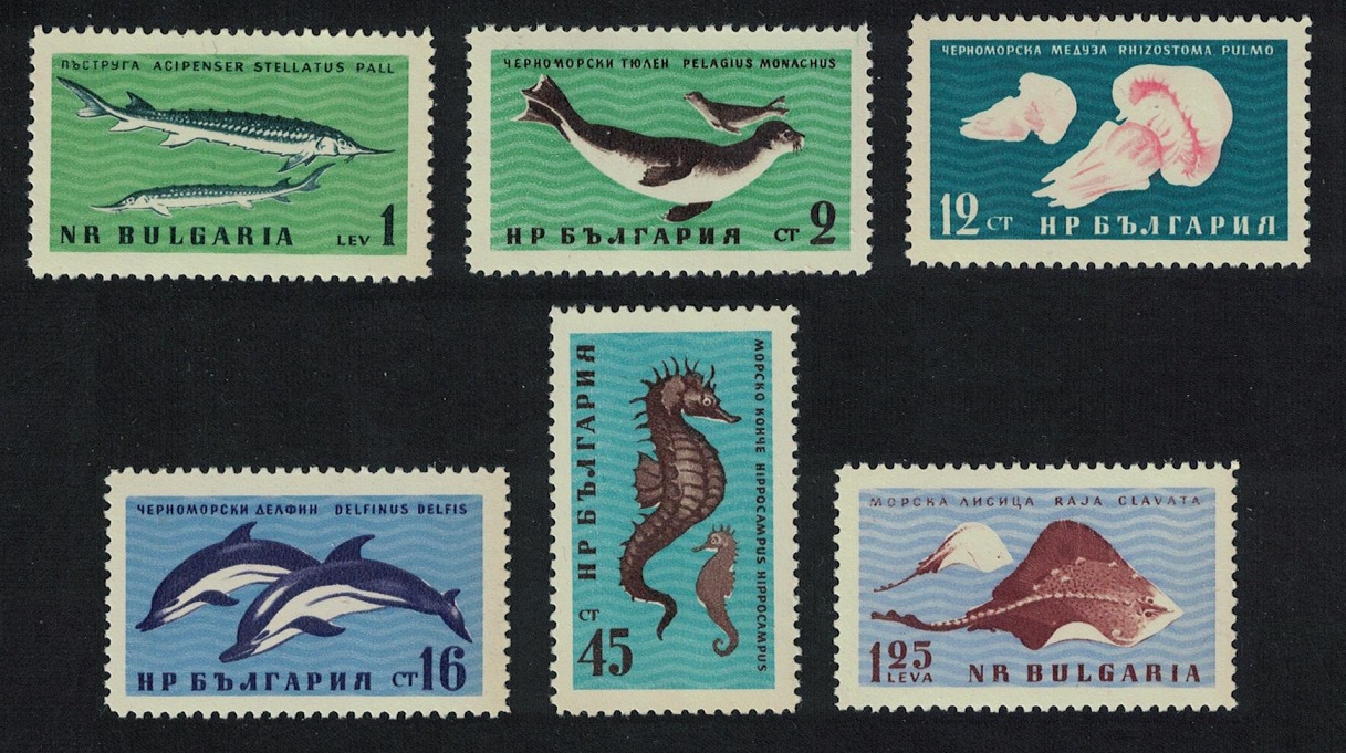 Bulgaria Sturgeon Jellyfish Dolphins Ray Fish Black Sea Fauna 6v 1961 MNH SG#1251-1256