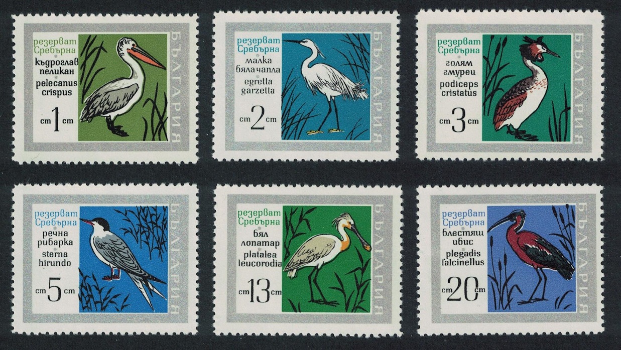 Bulgaria Pelican Egret Grebe Tern Spoonbill Ibis Birds 6v 1968 MNH SG#1832-1837 MI#1836-1841