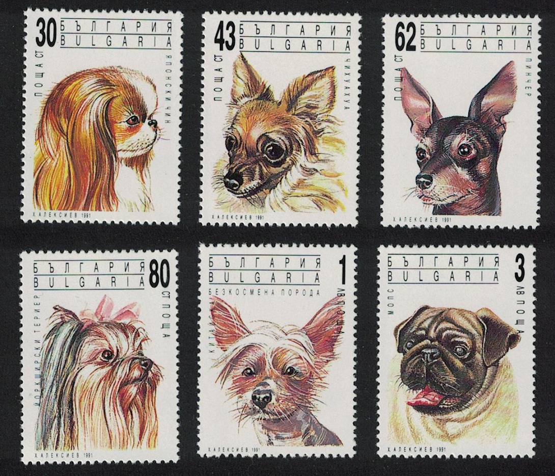 Bulgaria Chin Chihuahua Terrier Pug Dogs 6v 1991 MNH SG#3784-3789 MI#3929-3934