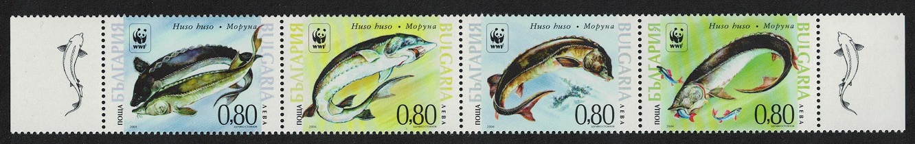 Bulgaria WWF Giant Sturgeon Strip of 4v 2004 MNH SG#4516-4519 MI#4678-4681 Sc#4330 a-d