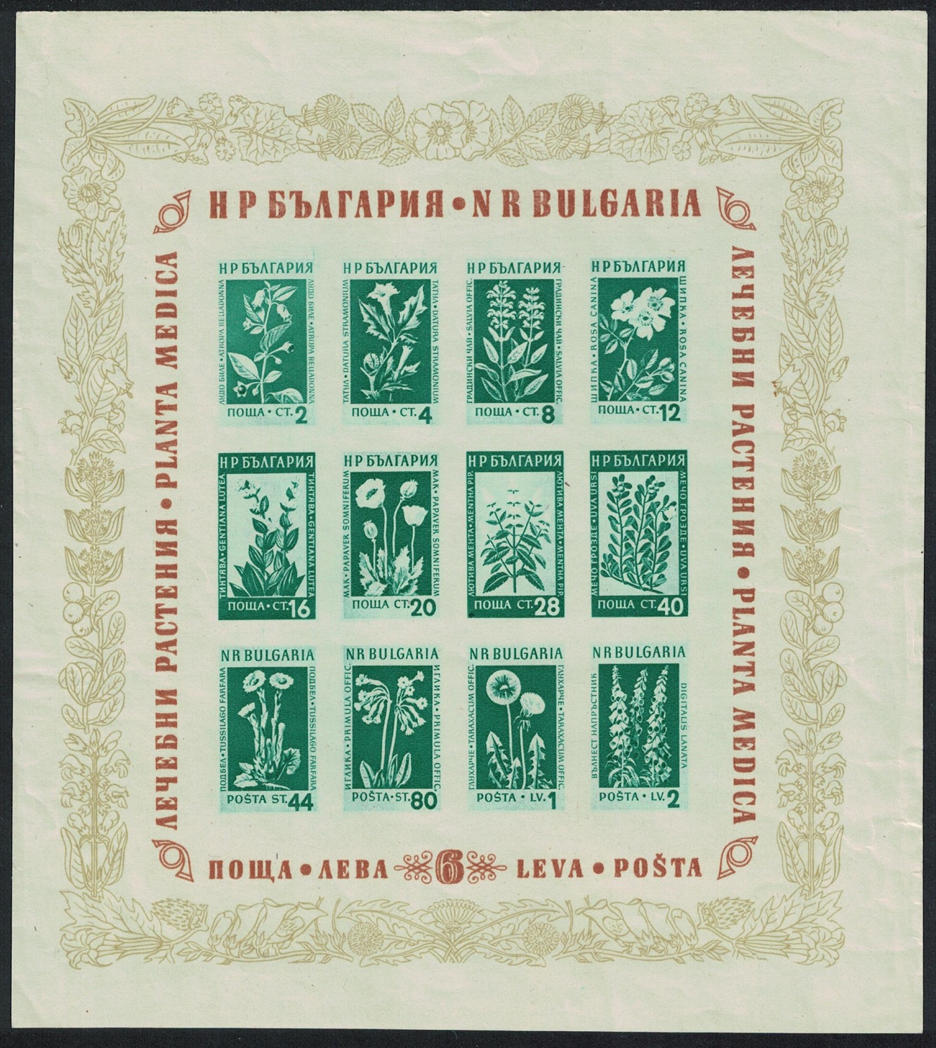 Bulgaria Medicinal Flowers MS Def 1953 Def SG#MS931a MI#Block 4 Sc#843a