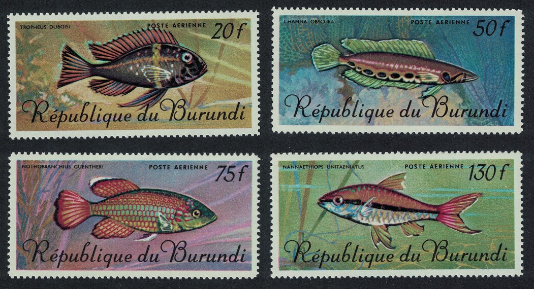 Burundi Aquarium Fish 4v Airmail Large format 1967 MNH SG#290-293