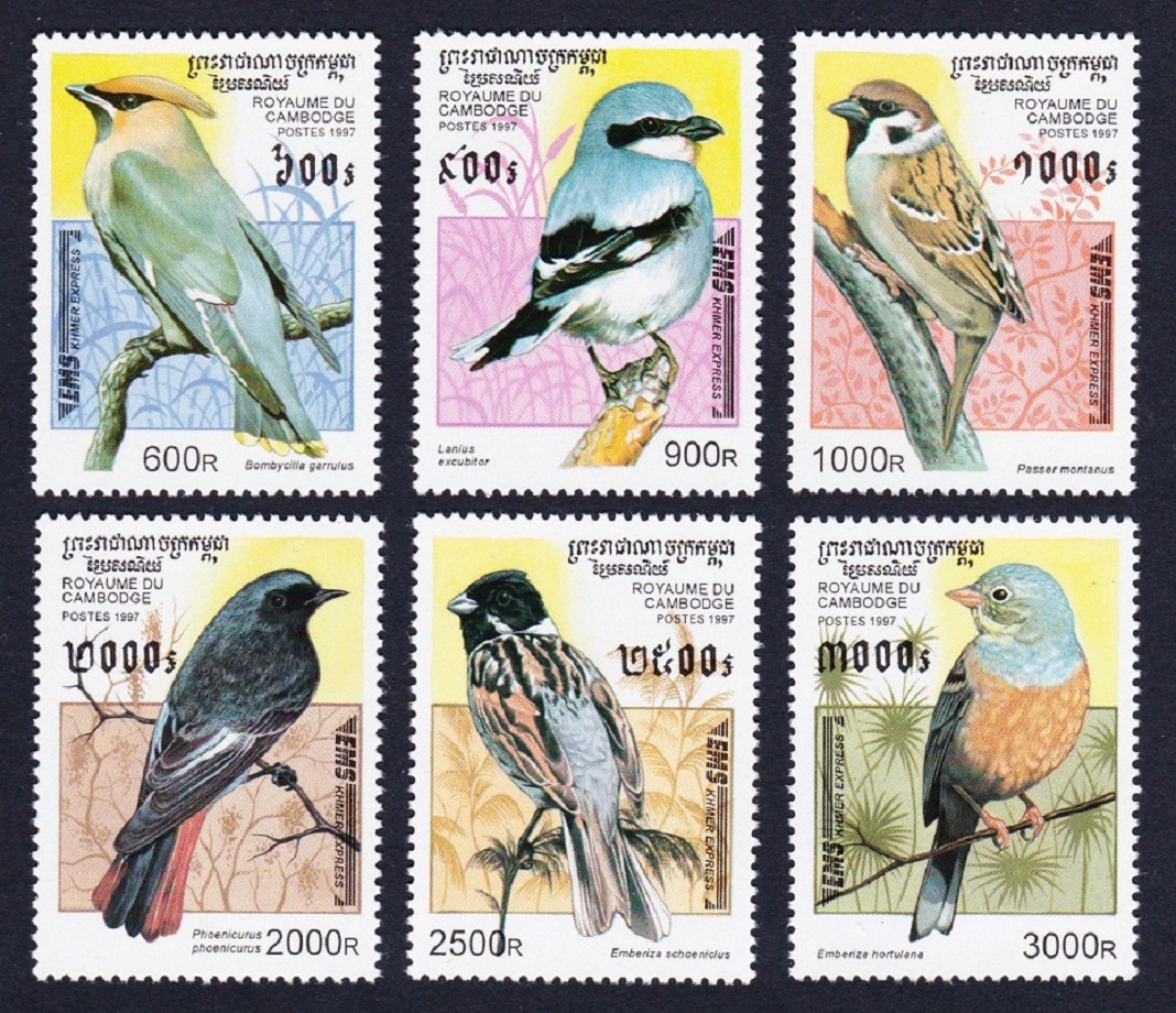 Cambodia Song Birds 6v 1997 MNH SG#E1624-E1629 MI#684-689 Sc#1598-1603