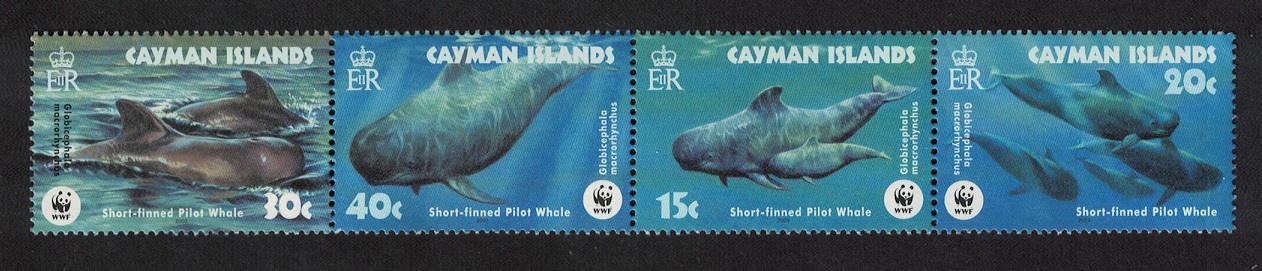 Cayman Islands WWF Short-finned Pilot Whale Strip of 4v 2003 MNH SG#1037-1040 MI#970-973 Sc#902-905