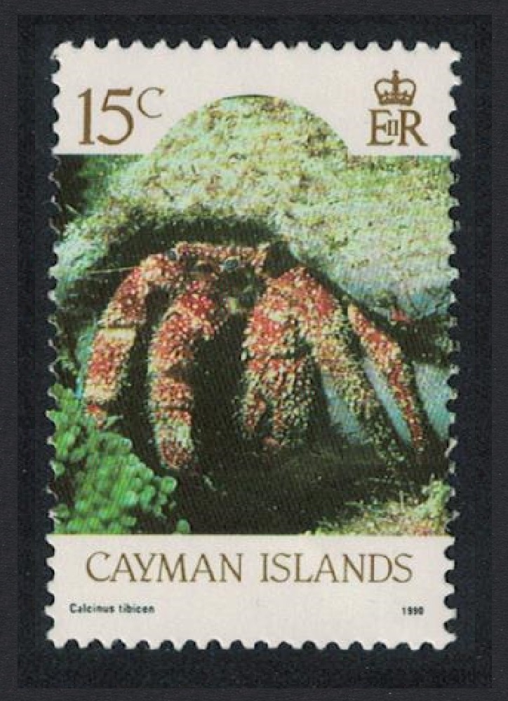 Cayman Islands Orange-claw Hermit crab &#39;Calcinus tibicen&#39; Imprint &#39;1990&#39; MNH SG#637