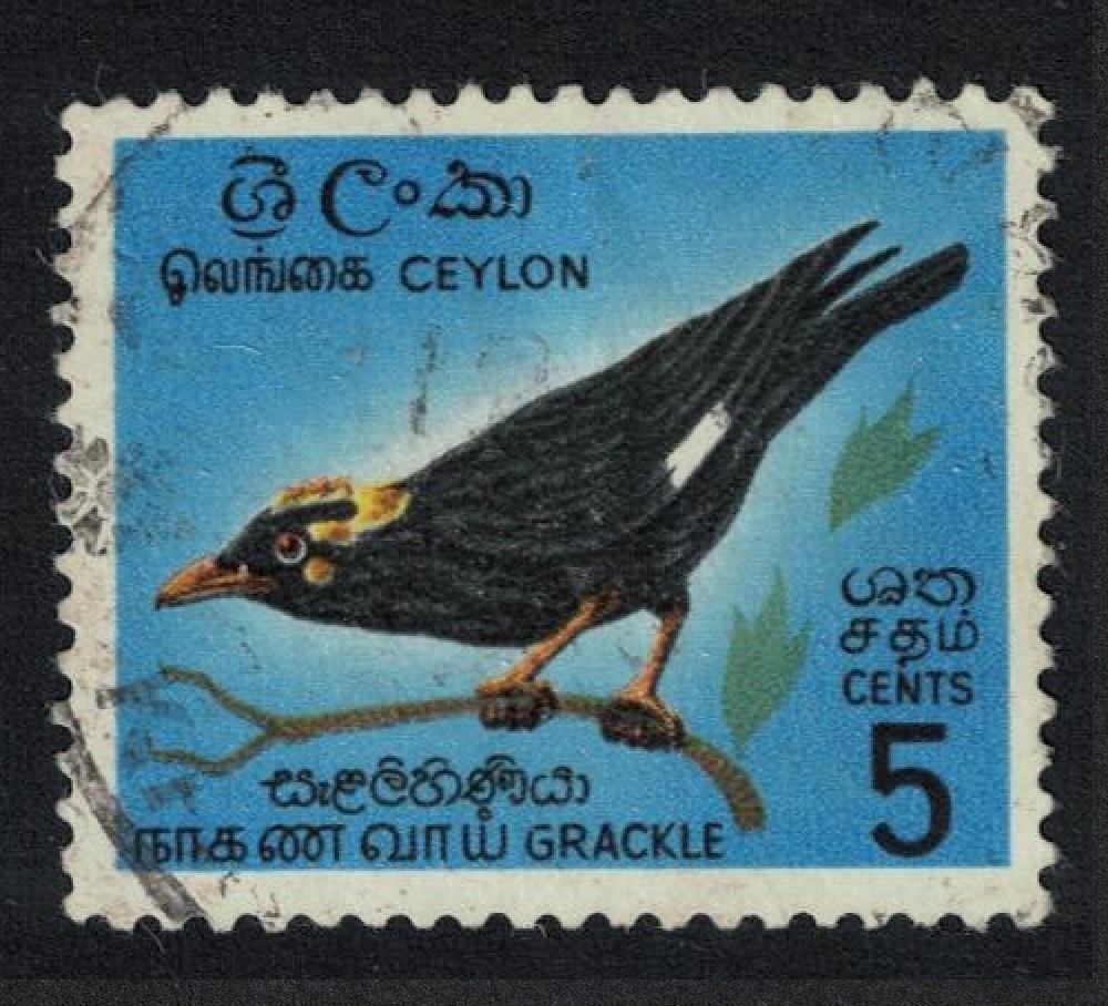 Ceylon Southern grackle Bird 5 cents 1964 Canc SG#485