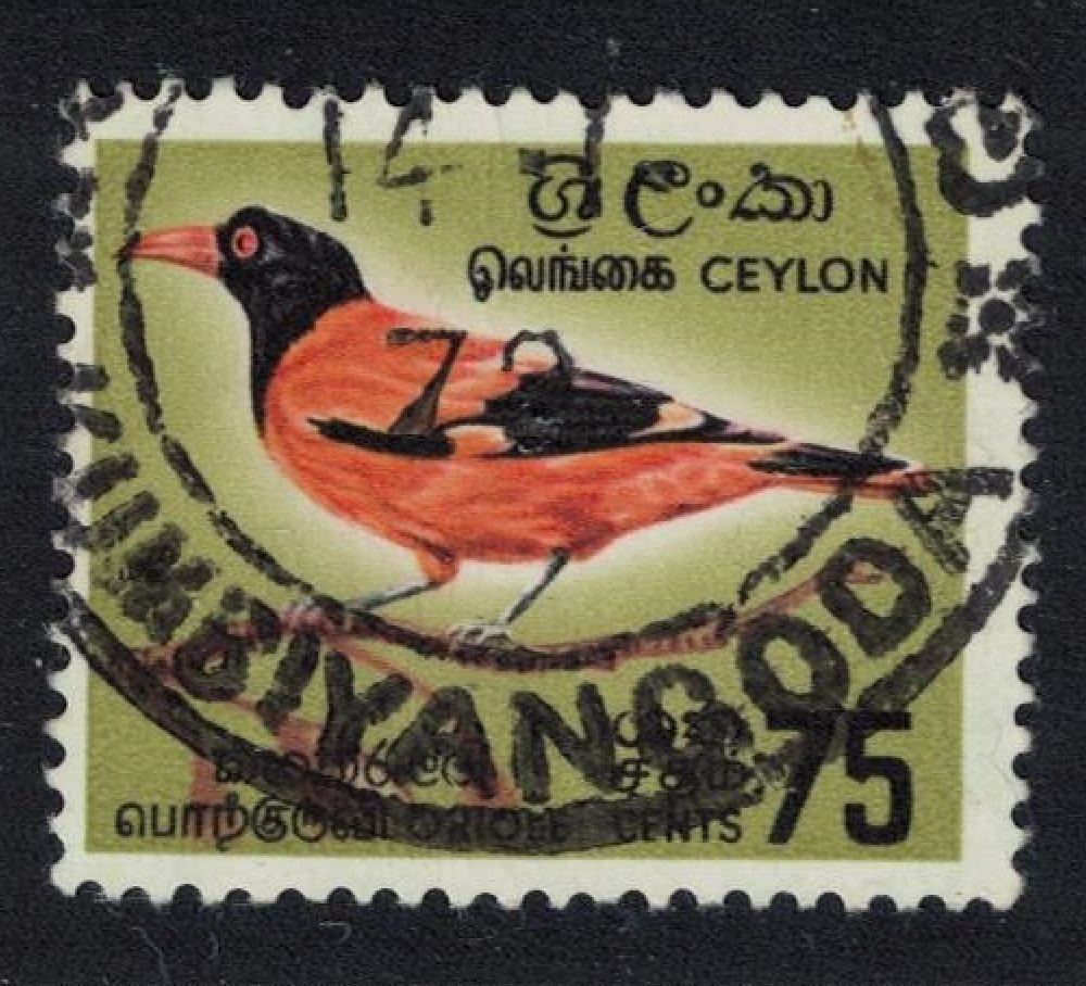 Ceylon Asian black-headed oriole Bird 75c T2 1964 Canc SG#495