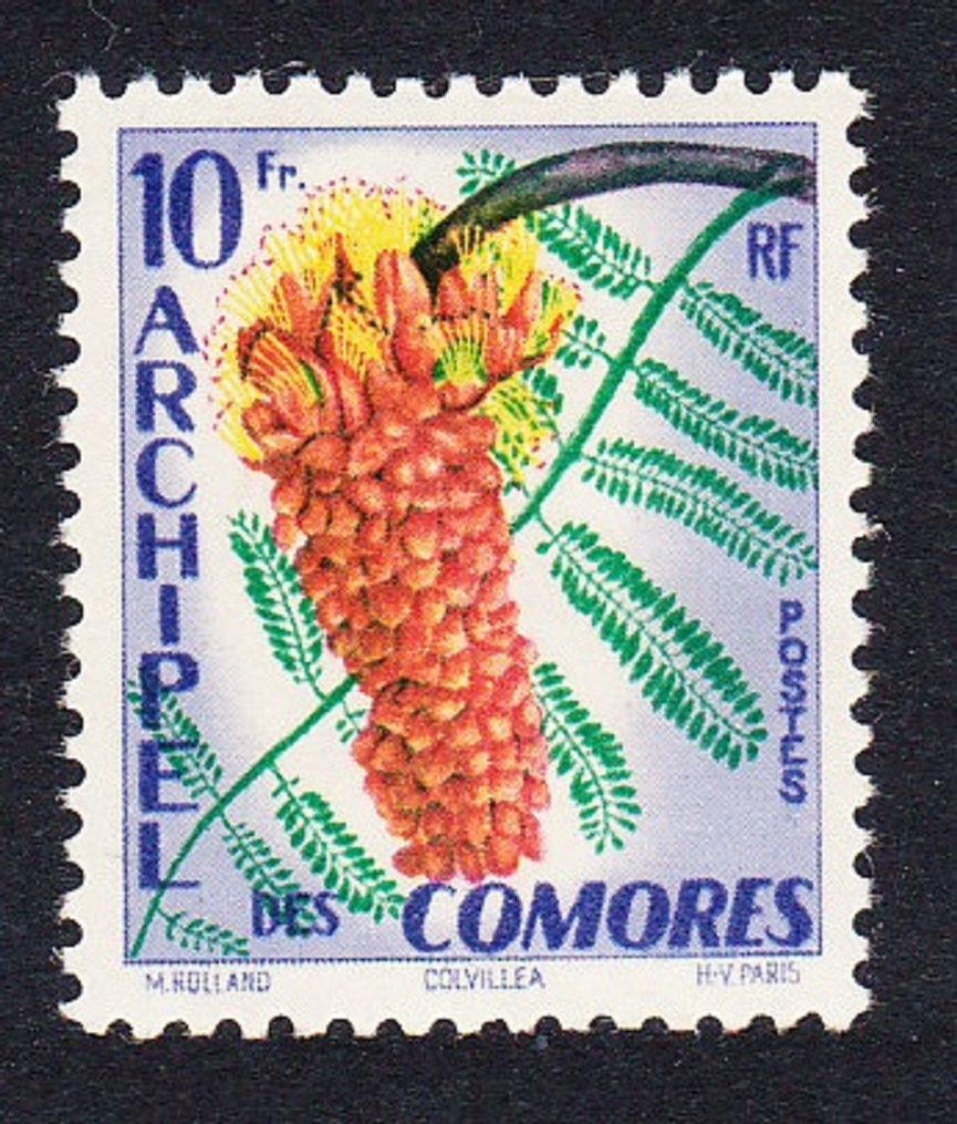 Comoro Islands Tropical Flora 1959 MNH SG#20 MI#39 Sc#45