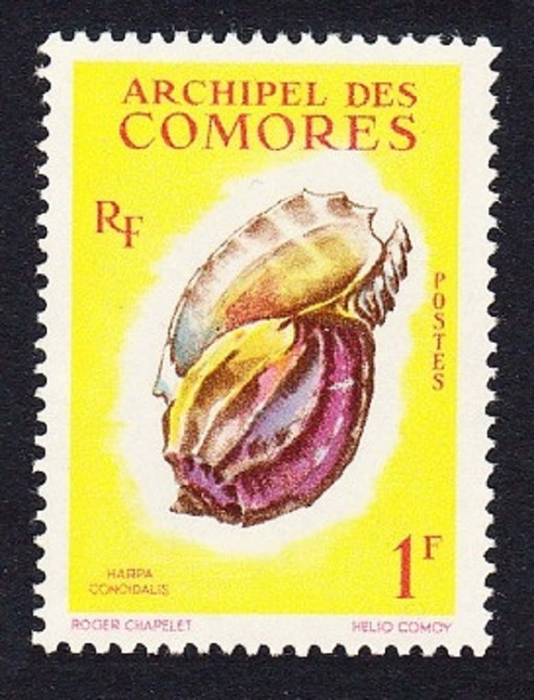 Comoro Islands Sea Shell &#39;Harpa conoidalis&#39; 1f 1962 MNH SG#24 MI#43 Sc#49