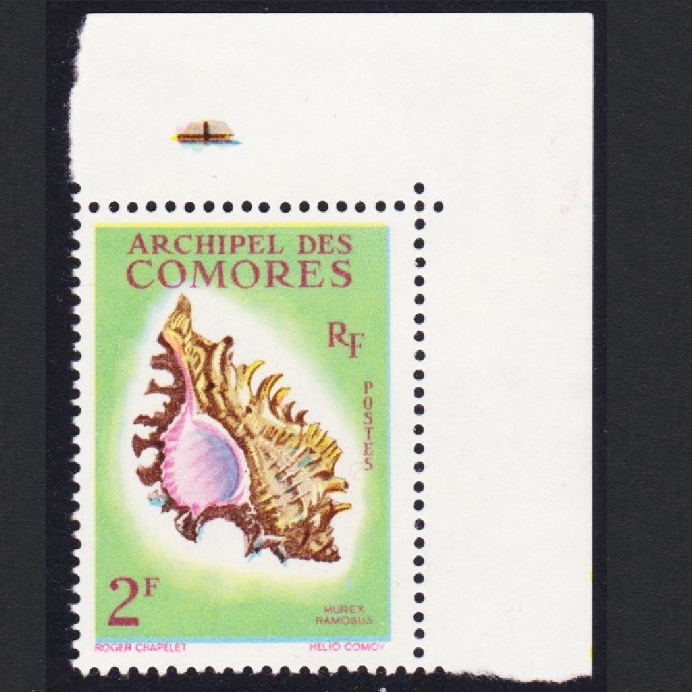 Comoro Islands Sea Shell &#39;Murex ramosus&#39; 2f Corner 1962 MNH SG#25 MI#44 Sc#50