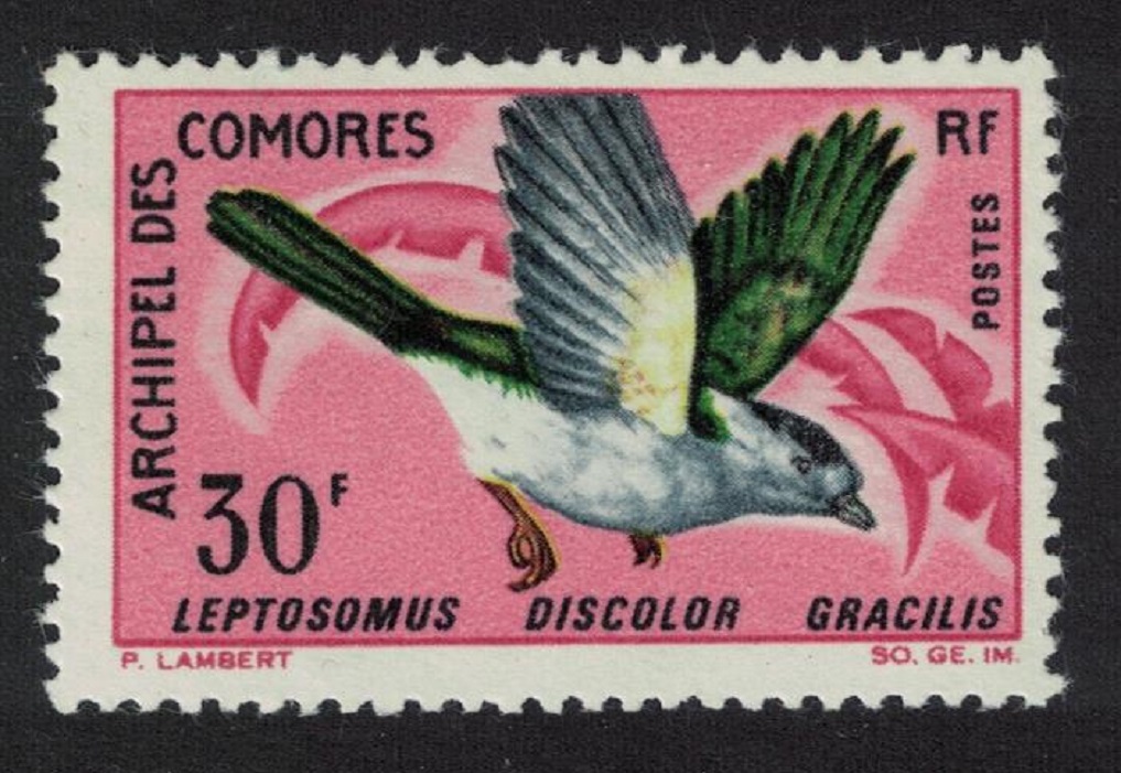 Comoro Islands Courol Bird 1967 MH SG#63 MI#82 Sc#72