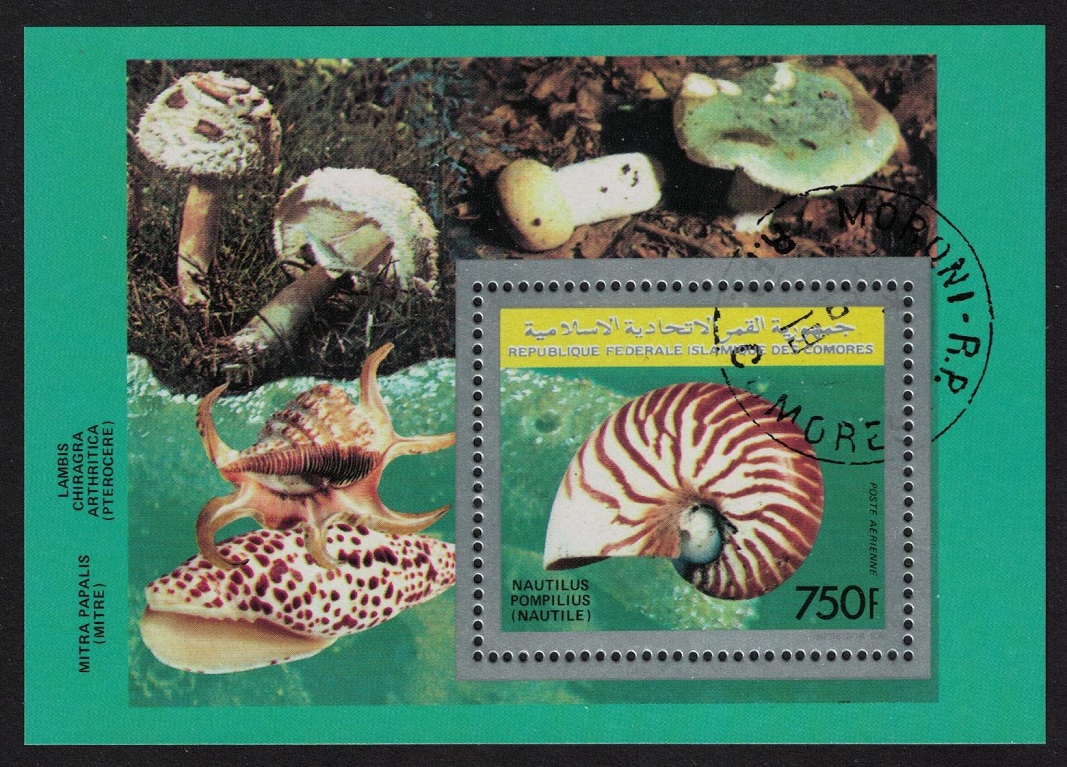 Comoro Islands &#39;Nautilus pompilius&#39; Shell Fungi MS 1992 CTO SG#MS795