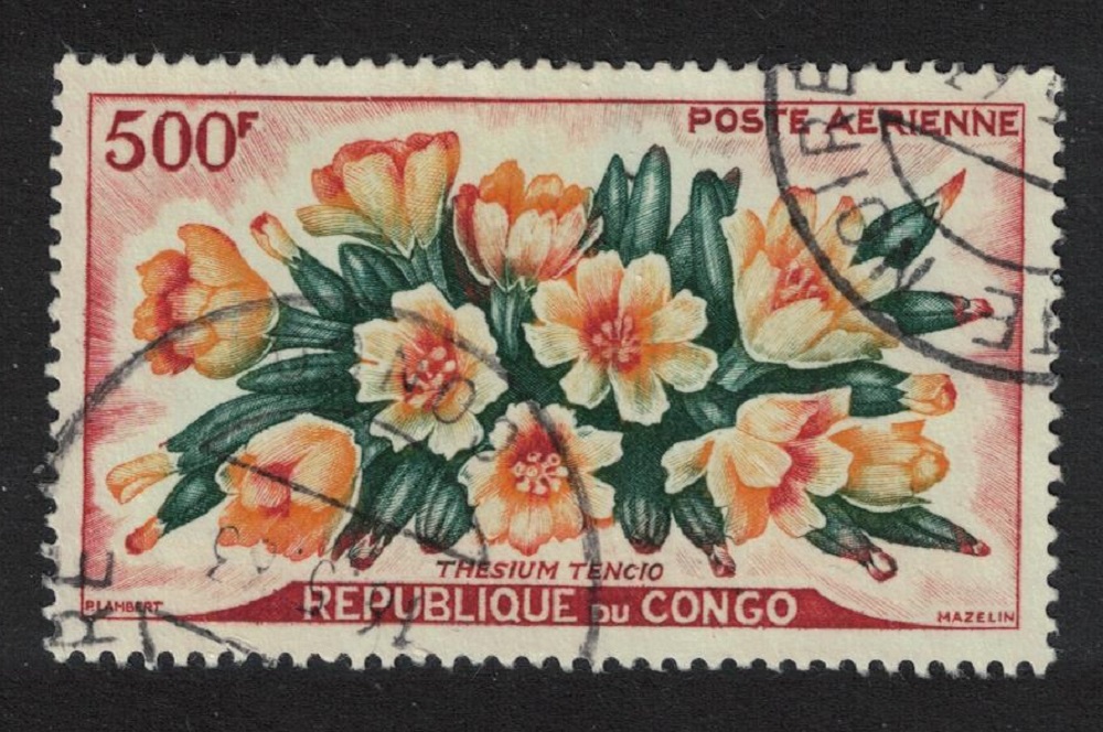 Congo Flowers &#39;Thesium tencio&#39; 1961 MNH SG#11