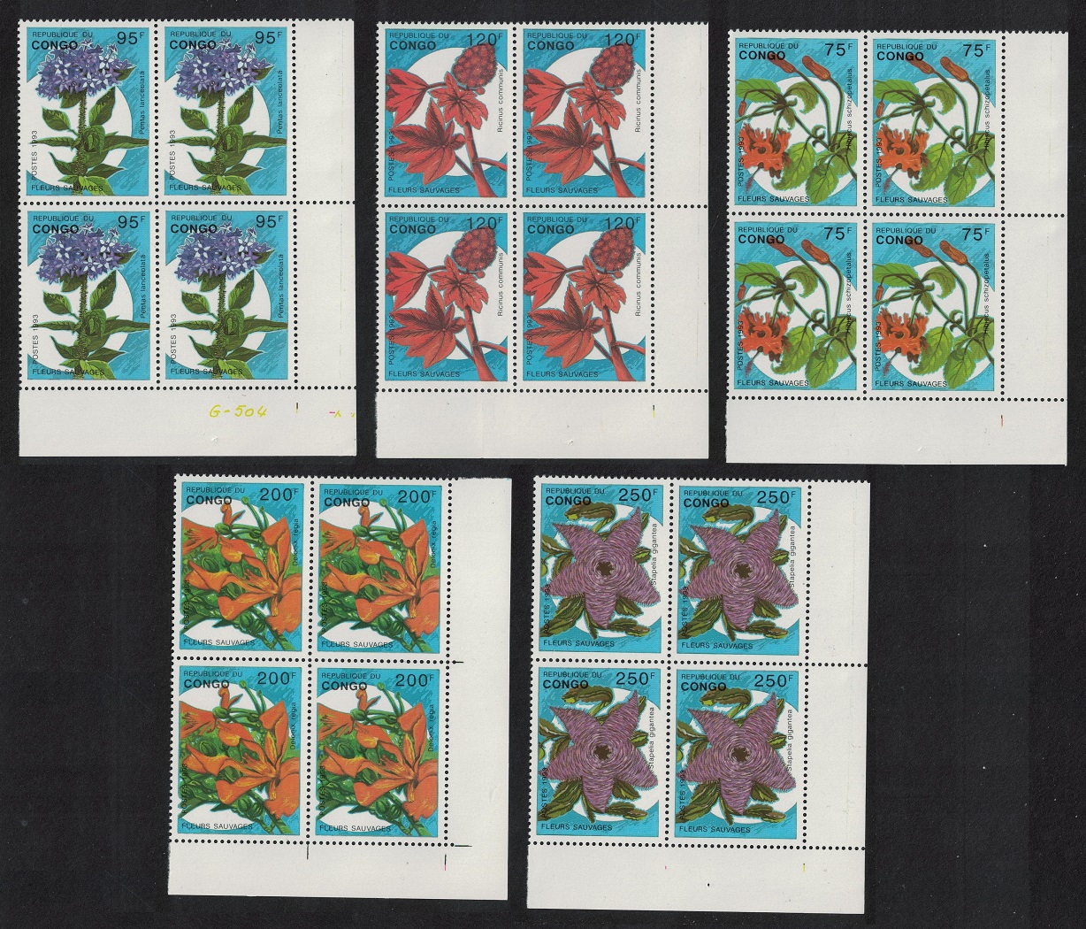 Congo Flowers 5v Corner Blocks of 4 1993 MNH SG#1375-1379 MI#1387-1391