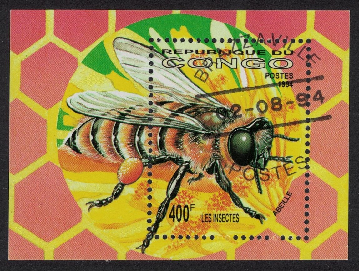 Congo Spiders Insects MS 1994 MNH MI#Block 125 Sc#1078