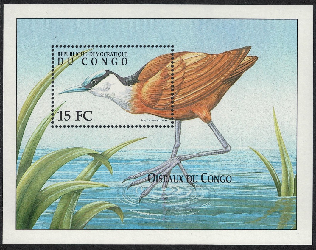 Congo Democratic Republic African Jacana &#39;Actophilornis africanus&#39; Bird MS 2000 MNH MI#Block 90