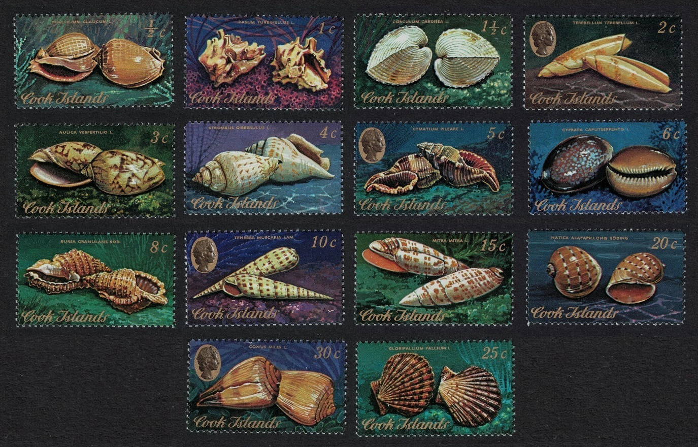 Cook Islands Shells 14v 1974 MNH SG#466-481 Sc#381-394