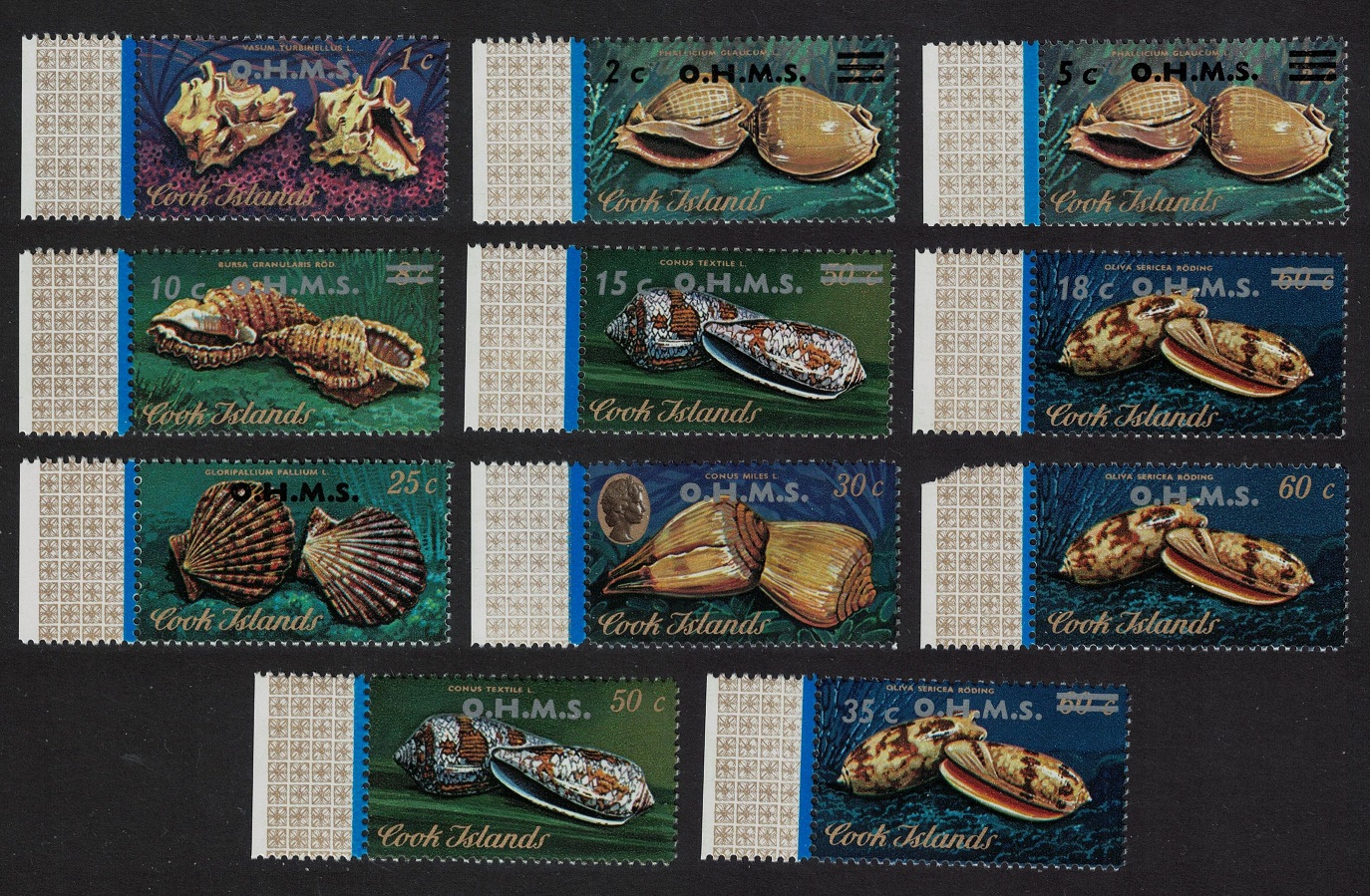 Cook Islands Shells 11v overprint &#39;O.H.M.S.&#39; 1978 MNH SG#O16-O26