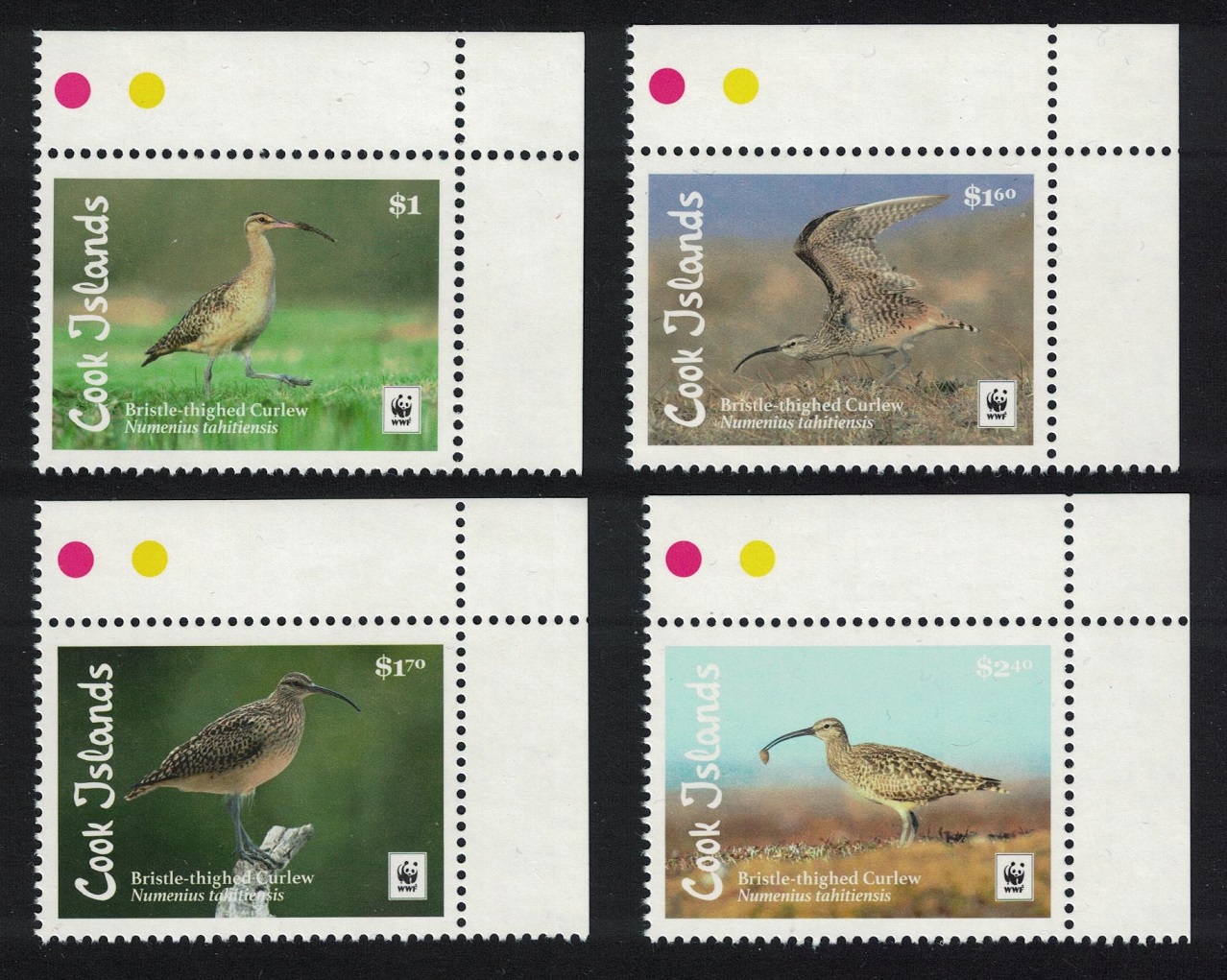 Cook Islands WWF Bristle-thighed Curlew Bird 4v Corners 2017 MNH SG#1927-1930