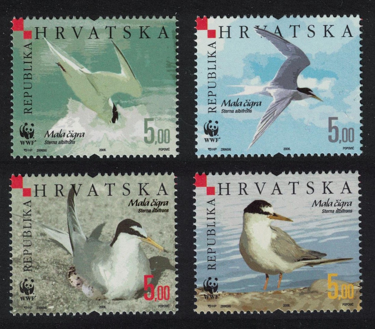 Croatia WWF Birds Little Tern 4v 2006 MNH SG#854-857 MI#774-777 Sc#621 a-d