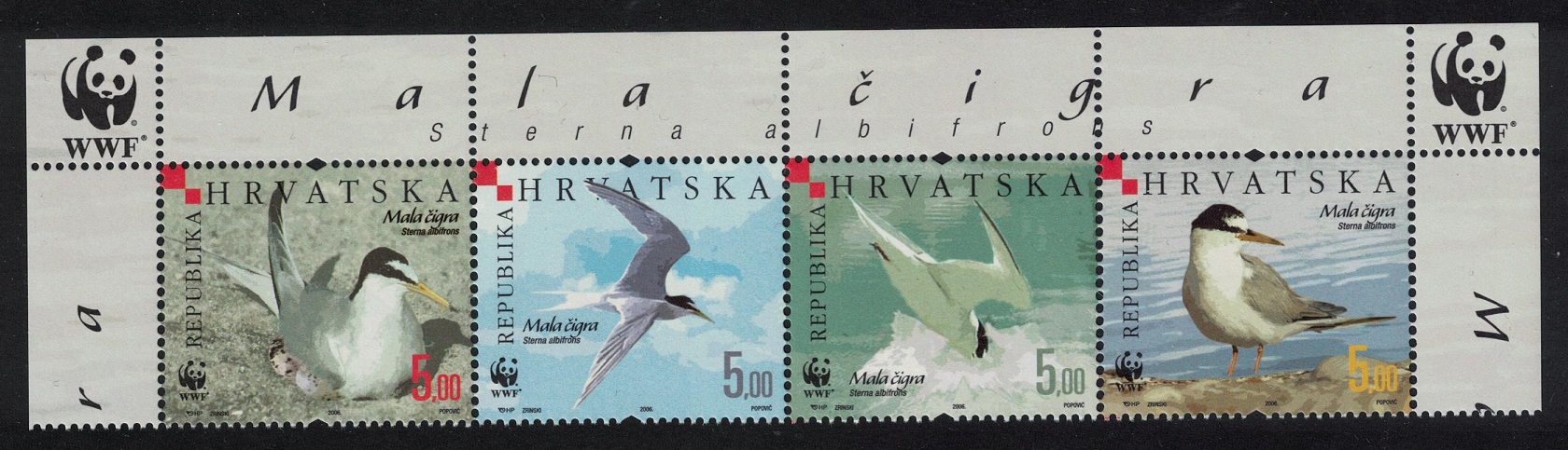 Croatia Birds WWF Little Tern Strip of 4v WWF Logo 2006 MNH SG#854-857 MI#774-777 Sc#621 a-d